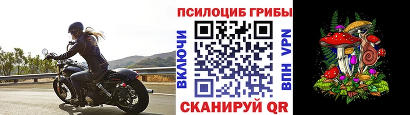 МЕГА   Лесной  Галлюциногенные грибы мицелий 